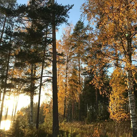 Kivivuori
