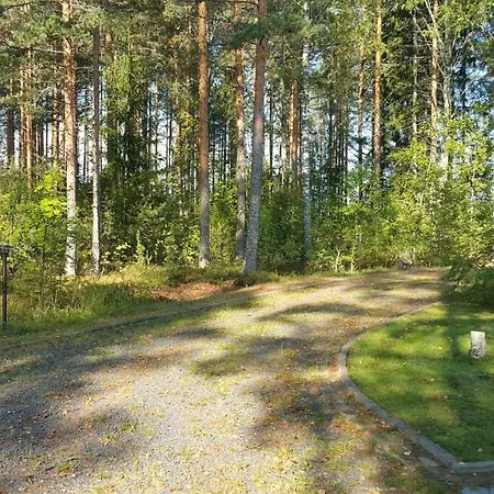 Kivivuori