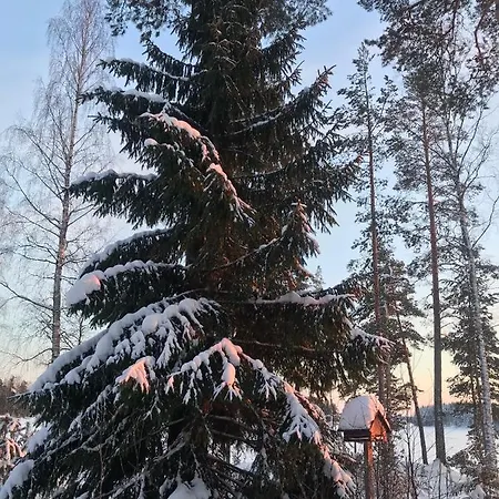 Villa Kivivuori *