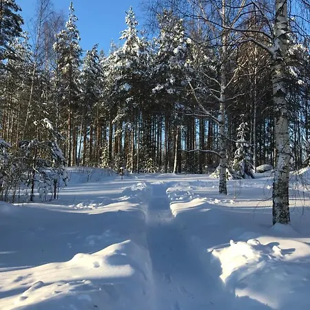 Kivivuori Villa *